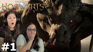 This Game is AMAZING!! Hogwarts Legacy Reaction Part 1