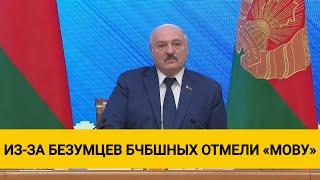 Лукашенко: Благодаря этим безумцам бчб-шным мы, как говорят, выплеснули и ребенка "беларускую мову"