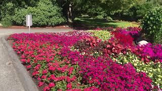 Deer Lake Park, Burnaby, BC