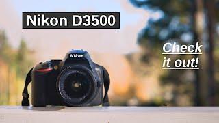 Nikon D3500 – an excellent option to consider in 2022