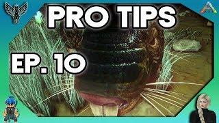 2018 ARK PRO TIPS YOU MAY NOT KNOW ABOUT # 10 [ARK SURVIVAL EVOLVED]