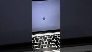 MacBook Pro Apple logo but no progress bar