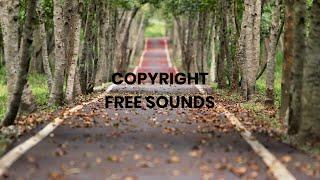 [FREE] UPSTAIRS WITH CAT - DIAMOND ORTIZ [No Copyright] Music for content creators