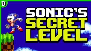 Sonic The Hedgehog's Super Secret Level Walkthrough (W/Commentary)