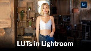 LUTs in Lightroom? - Das kann CameraRAW dann doch besser...