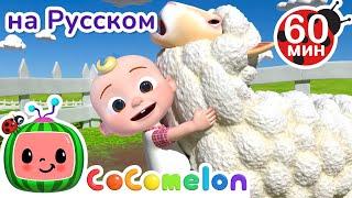 На Ферме‍ | Сборник 1 Час | CoComelon на русском — Детские песенки | Мультики для детей