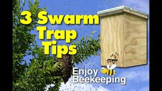 3 Tips for hanging honey bee swarm traps