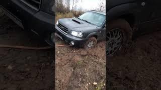 Subaru Forester застрял в грязи с прицепом не знаем как вылезти.