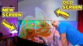 ALR Projector Screens WILL Replace Your TV | Side By Side Comparison