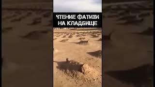 Чтение Фатихи на кладбище. Шейх Абдуль Карим аль-Худейр. 