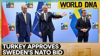 Turkey’s parliament approves Sweden’s NATO bid | World DNA | WION