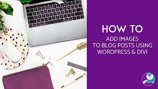 How to add Images to Blog Posts with WordPress & Divi