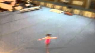 Sportine gimnastika kaunas 2014(4)