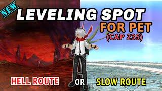 Spot Leveling For Pet 2022 [ Toram Online ] Choose Your Route!!