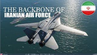 F-14 Tomcat is the Backbone of the Iranian Air Force, The Most Powerful Interceptor Jet ever Built!