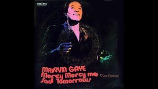 Marvin Gaye ~ Mercy Mercy Me (The Ecology) 1971 Soul Purrfection Version