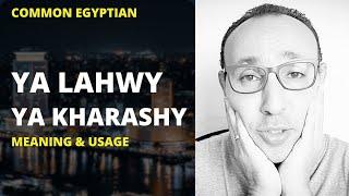 The Very Funny and Essential Phrase in Spoken Egyptian Arabic (YA LAHWY): Meaning & Usage