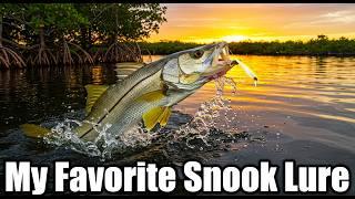 Catching Snook on a kayak fishing trip through Mosquito Lagoon