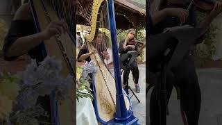 Los Angeles Wedding Ceremony Music - Thinking Out Loud - Harp/Violin Duo - Jason Sulkin Music