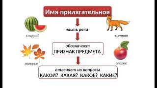 Русский язык 2 класс. «Имя прилагательное как часть речи»