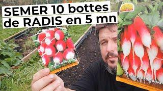 Semer 10 bottes de radis RONDS en 5 minutes