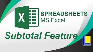 MS Excel | Subtotal Feature