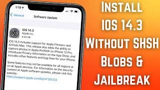 How To Update iOS 14.3 Without SHSH Blobs | No Computer