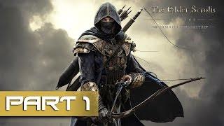 The Elder Scrolls Online Tamriel Unlimited - Gameplay Walkthrough Part 1 - So Much Has Changed