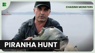 The Hunt for Giant Black Piranhas - Chasing Monsters - Fishing Show