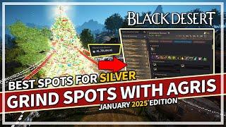 BDO Best Grind Spots with AGRIS for Silver in 2025 (January Update) | Black Desert