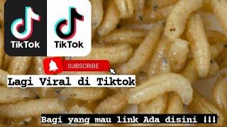 Sekilas tentang video belatung yang ada di tiktok