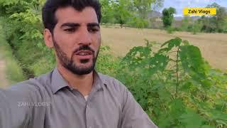 I went to my maternal uncle house by Zahi Daily Vlogs