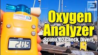 Oxygen Analyzer Applications (FD-O2BOX)