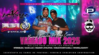 VARIADO MIX 2025  - Barney Evolution Selecta Omy Canela Ft Terrible Evolution Corporation  / #2025