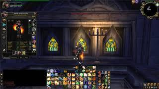 WoW Classic Paladin - Endgame Tanking Setup