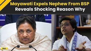 Mayawati News: 'Under Influence Of...' Mayawati Expels Nephew Akash Anand From BSP Because Of...