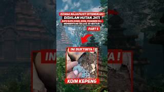 VIRAL ISTANA MAJAPAHIT DITEMUKAN DALAM HUTAN JATI SELUAS 20 HEKTAR ! VIDEO INI BUKTINYA TEMUAN KOIN