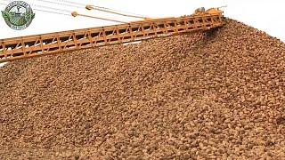 36 Million Tons Of Sugar Beets Are Harvested To Produce Sugar This Way | Farming Documentary