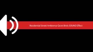 Residential Street Ambience Quiet Birds SOUND Effect