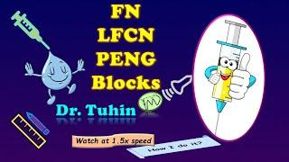 Ultrasound-guided FN, LFCN & PENG Blocks I Femoral Nerve Block | PENG Block | LFCN Block@DrTuhinM