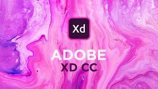 Adobe XD CC 2019 NEW Features!