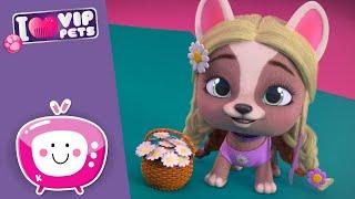  THE ECLIPSE WISH VIP PETS SPRING Vibes  VIP PETS  NEW EPISODE  Videos for KIDS in English