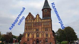 Кафедральный собор (Калининград) /  Cathedral (Kaliningrad)