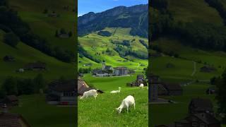  Schwende, Switzerland Follow for daily Swiss Content 