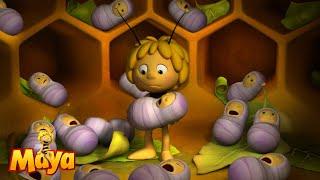 Bee kindergarten - Maya the Bee