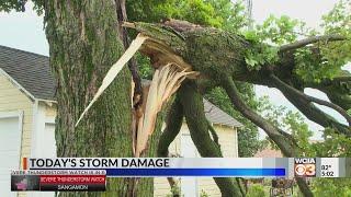 Summer storms and strong winds take Central Illinois by surprise