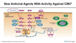 Changing the Paradigm of CMV Management in the HCT Setting