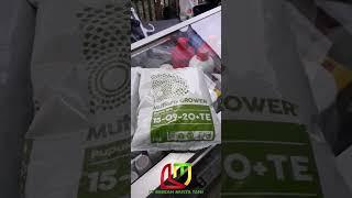 Manfaat Pupuk NPK Mutiara 16 16 16 Vs NPK Grower Untuk Berbagai Jenis Tanaman