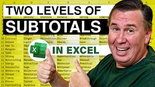 Excel - Add Two Levels Of Subtotals In Seconds! - Episode 2563b