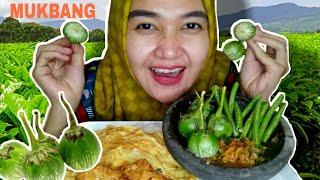 MUKBANG SEDERHANA ENAK BANGET MUKBANG TELOR GORENG LALAP TERONG MENTAH KACANG PANJANG